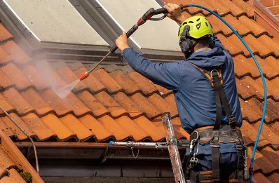 Démoussage et hydrofuge de toiture à Briou